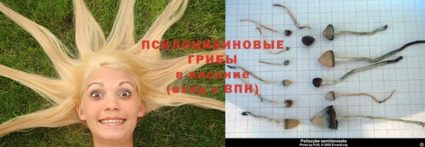 меф Алзамай