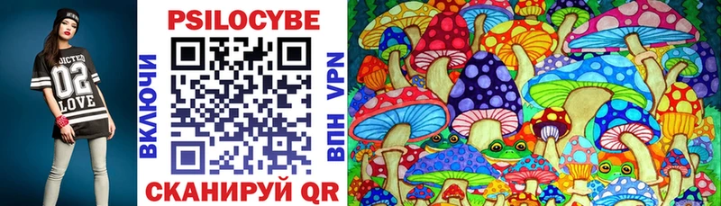 Галлюциногенные грибы Psilocybine cubensis  Артёмовск 